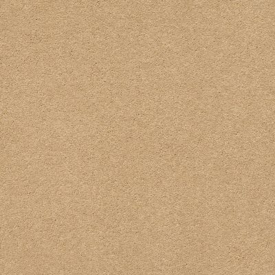 Classic Beauty Lasting Luxury  TAWNY BISQUE LL_00225_ZZ059