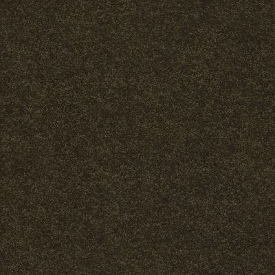 Classic Beauty Lasting Luxury  FIR LL_00339_ZZ059