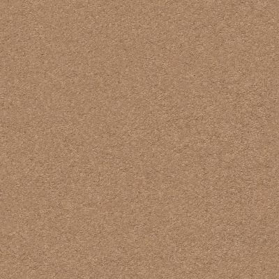 Classic Beauty Lasting Luxury  DESERT VIEW LL_00665_ZZ059