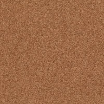 Classic Beauty Lasting Luxury  PUMPKIN SPICE LL_00668_ZZ059