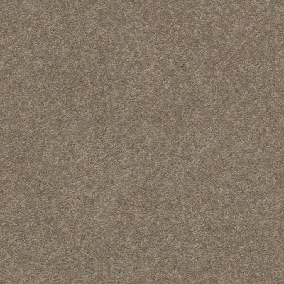 Classic Beauty Lasting Luxury  SLEEK SUEDE LL_00757_ZZ059