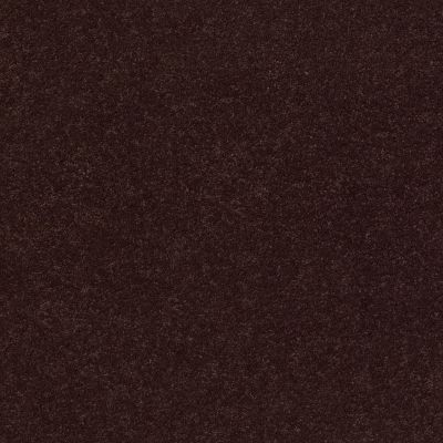 Classic Beauty Lasting Luxury  ROOT BEER LL_00778_ZZ059