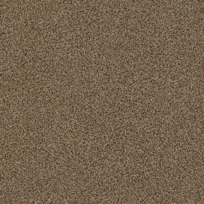 Serenity Cove Lasting Luxury  MYSTIC BROWN LL_00775_ZZ060