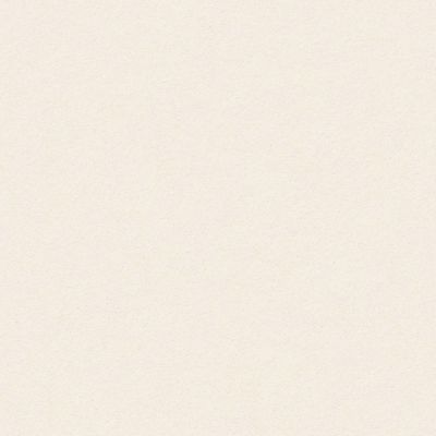 Perfect Choice Lasting Luxury  FRENCH WHITE LL_00221_ZZ064