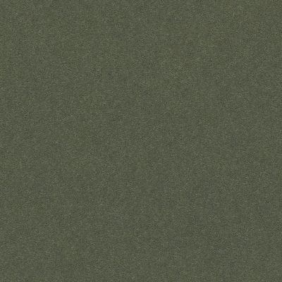 Perfect Choice Lasting Luxury  DYNASTY GREEN LL_00356_ZZ064