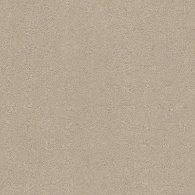 Perfect Choice Lasting Luxury  PASHMINA LL_00754_ZZ064