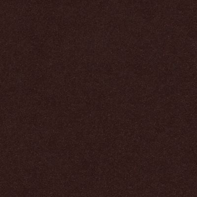 Perfect Choice Lasting Luxury  ROOT BEER LL_00778_ZZ064