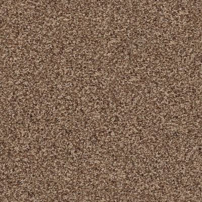 Ensemble Lasting Luxury  MYSTIC BROWN LL_00775_ZZ069