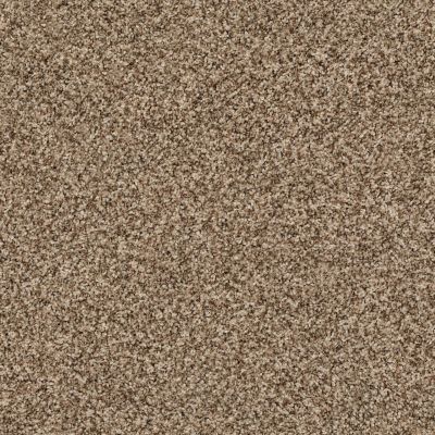 Ensemble Lasting Luxury  CAPUCCINO LL_00776_ZZ069