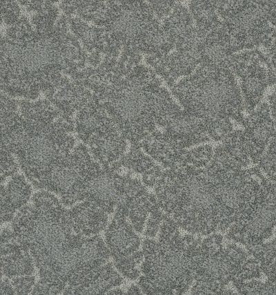 Stargazer Lasting Luxury  GRAY WISP LL_00537_ZZ072