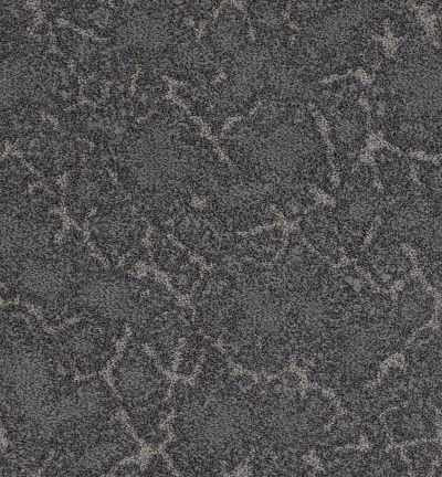 Stargazer Lasting Luxury  MIDNIGHT OIL LL_00558_ZZ072