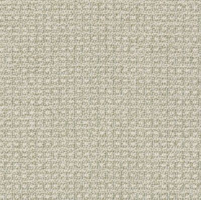 Fetch Lasting Luxury  SOFT FERN LL_00312_ZZ074