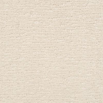 Sketch Lasting Luxury  SALT BOX LL_00102_ZZ077