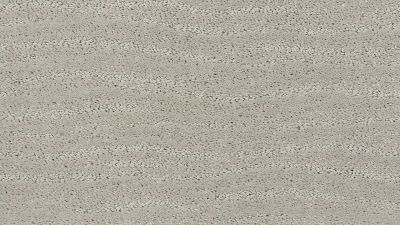 Pose Lasting Luxury  GENTLE GRAY LL_00541_ZZ079