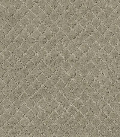 Pawnache Lasting Luxury  GRAY MIRAGE LL_00533_ZZ080
