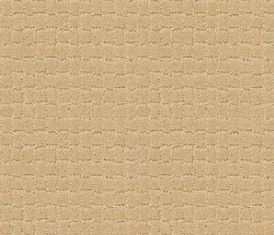 Pawstruck Lasting Luxury  CORK LL_00223_ZZ081