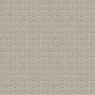 Pawstruck Lasting Luxury  SILVER FOX LL_00511_ZZ081