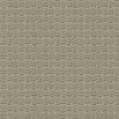 Pawstruck Lasting Luxury  GRAY MIRAGE LL_00533_ZZ081
