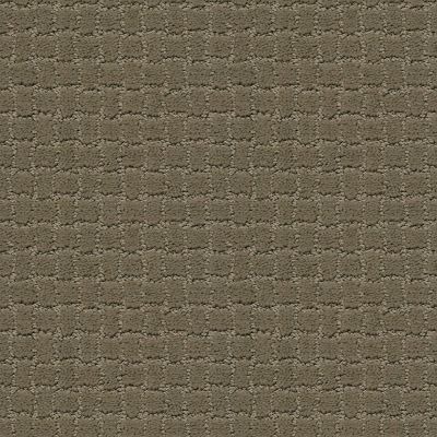 Pawstruck Lasting Luxury  DRY SAGE LL_00536_ZZ081