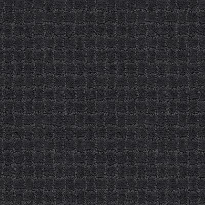 Pawstruck Lasting Luxury  NIGHT SHADE LL_00558_ZZ081