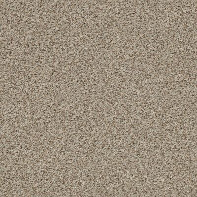 The Bark Side I Lasting Luxury  SANDSTONE LL_00272_ZZ087