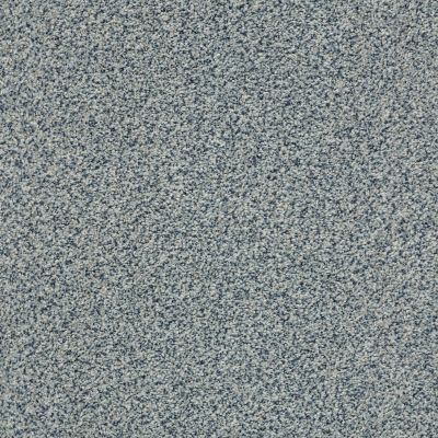 The Bark Side I Lasting Luxury  SPRINKLE LL_00446_ZZ087