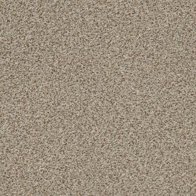 The Bark Side II Lasting Luxury  SANDSTONE LL_00272_ZZ088