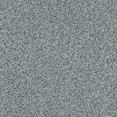 The Bark Side II Lasting Luxury  SPRINKLE LL_00446_ZZ088