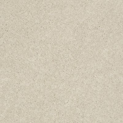 Pawparazzi I Lasting Luxury  TOFFEE CREAM LL_00183_ZZ092