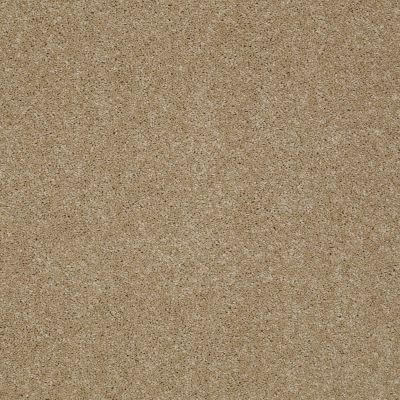 Pawparazzi I Lasting Luxury  PEANUT SHELL LL_00186_ZZ092