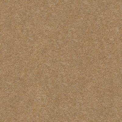 Pawparazzi I Lasting Luxury  GOLDEN STRAW LL_00224_ZZ092