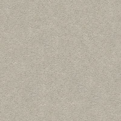 Pawparazzi I Lasting Luxury  SILVER FOX LL_00511_ZZ092