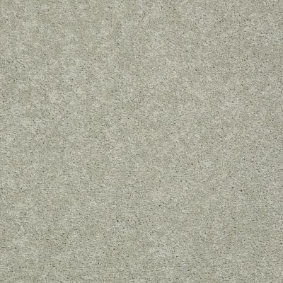 Pawparazzi I Lasting Luxury  GRAY MIRAGE LL_00533_ZZ092
