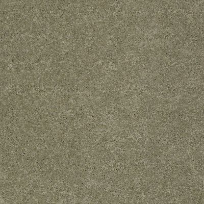 Pawparazzi I Lasting Luxury  DRY SAGE LL_00536_ZZ092