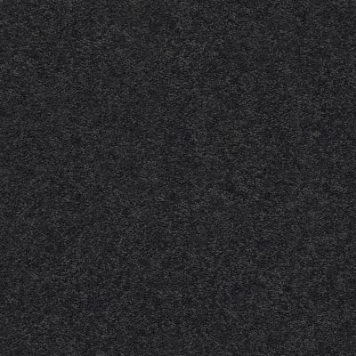 Pawparazzi I Lasting Luxury  NIGHT SHADE LL_00558_ZZ092