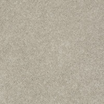 Pawparazzi I Lasting Luxury  MOCHA CREAM LL_00711_ZZ092