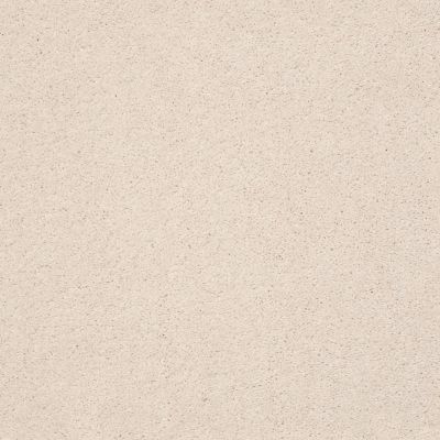 Pawparazzi II Lasting Luxury  BARELY BEIGE LL_00111_ZZ093