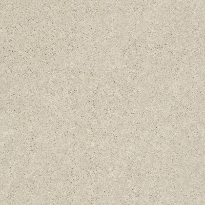 Pawparazzi II Lasting Luxury  TOFFEE CREAM LL_00183_ZZ093