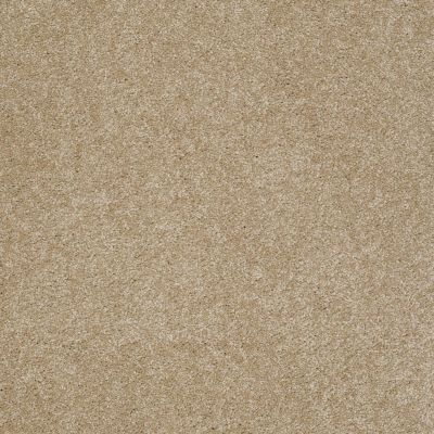 Pawparazzi II Lasting Luxury  PEANUT SHELL LL_00186_ZZ093