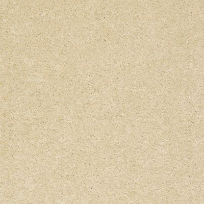 Pawparazzi II Lasting Luxury  CORK LL_00223_ZZ093