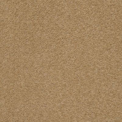 Pawparazzi II Lasting Luxury  GOLDEN STRAW LL_00224_ZZ093