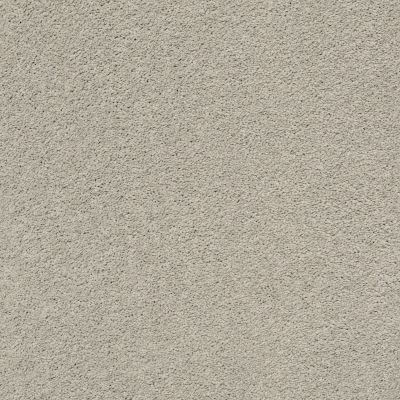 Pawparazzi II Lasting Luxury  SILVER FOX LL_00511_ZZ093