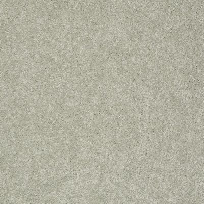 Pawparazzi II Lasting Luxury  GRAY MIRAGE LL_00533_ZZ093