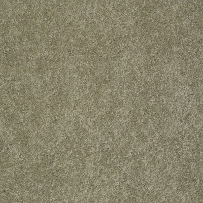 Pawparazzi II Lasting Luxury  DRY SAGE LL_00536_ZZ093