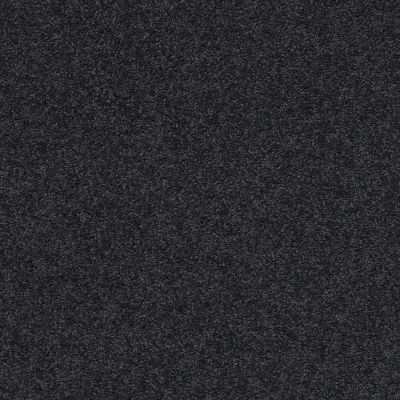 Pawparazzi II Lasting Luxury  NIGHT SHADE LL_00558_ZZ093