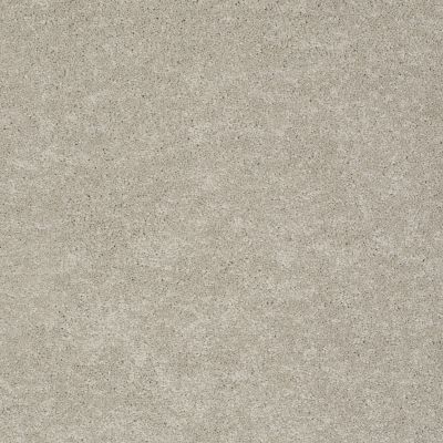 Pawparazzi II Lasting Luxury  MOCHA CREAM LL_00711_ZZ093