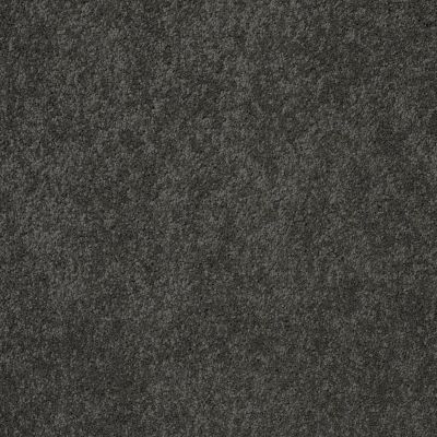 Pawparazzi II Lasting Luxury  OVERCOAT LL_00716_ZZ093