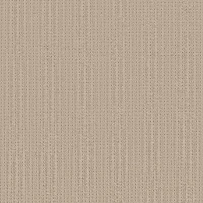 San Lucas Lasting Luxury  BISCUIT LL_00114_ZZ095