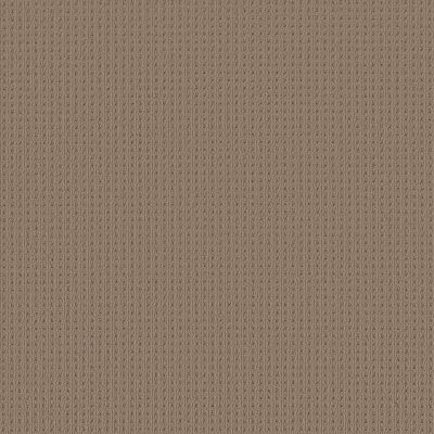 San Lucas Lasting Luxury  LATTE LL_00724_ZZ095