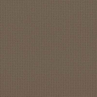 San Lucas Lasting Luxury  SHINGLE LL_00758_ZZ095